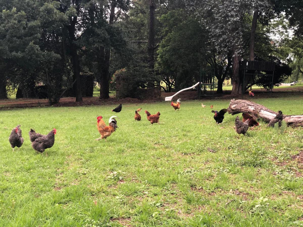 Tegwaan Country Getaway Villa Waterval Boven Bagian luar foto